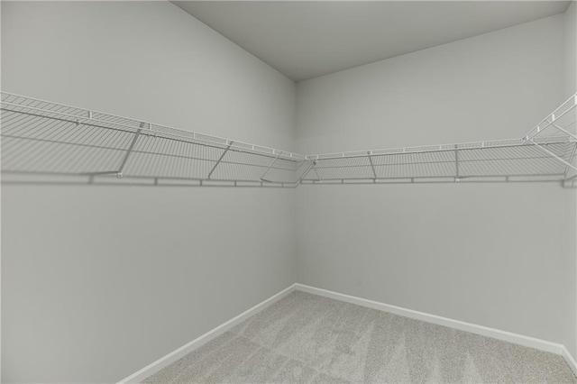 spacious closet with light carpet