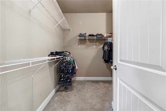 4850 Wilshire Xing, Cumming, GA 30040 - walk in closet featuring carpet
