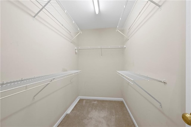 walk in closet featuring light colored carpet