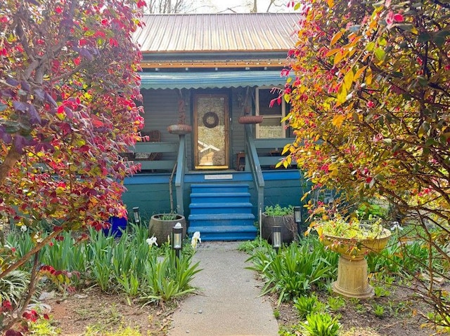 doorway to property featuring covered porch and metal roof