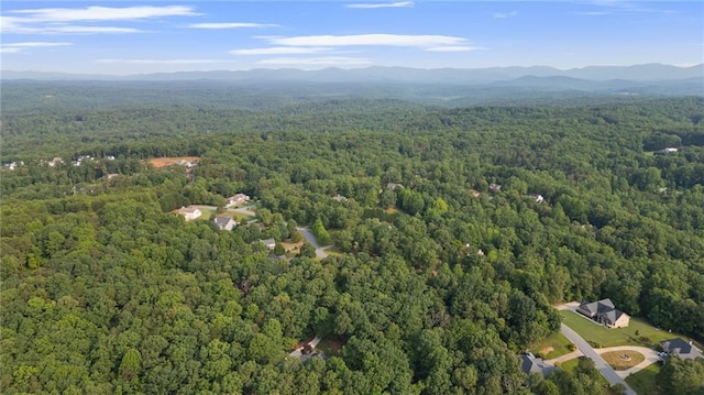 168 Eagle Pointe Dr, Dahlonega, GA 30533 - aerial view of property's location with a forest and a mountain backdrop