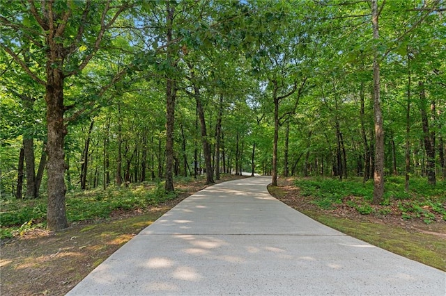 168 Eagle Pointe Dr, Dahlonega, GA 30533 - view of property's community with a forest view and driveway