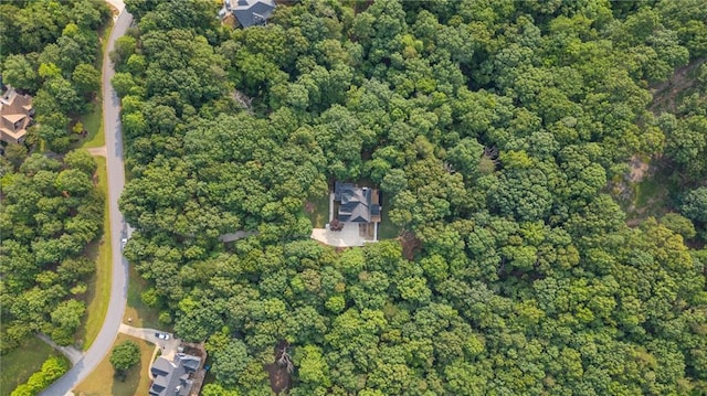 168 Eagle Pointe Dr, Dahlonega, GA 30533 - view of property location with property boundaries highlighted and a forest