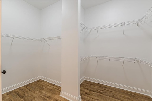 walk in closet featuring hardwood / wood-style flooring