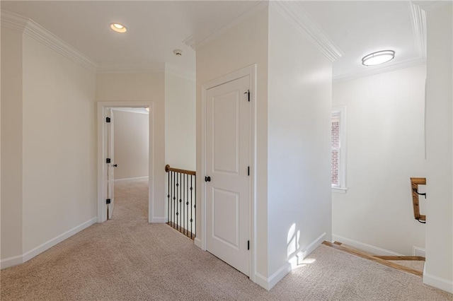 hall featuring light colored carpet and ornamental molding