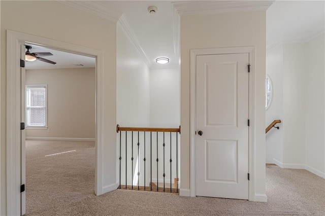 hall featuring crown molding and light colored carpet