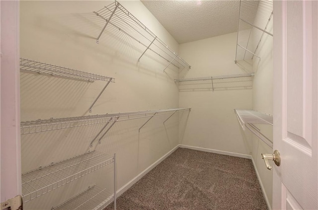 walk in closet with carpet flooring