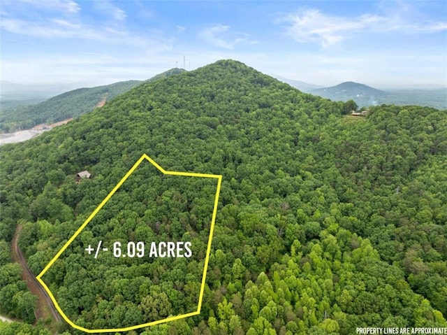 01 Long Mountain Rd, Cleveland, GA 30528