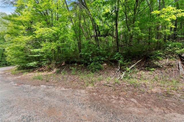 01 Long Mountain Rd, Cleveland, GA 30528