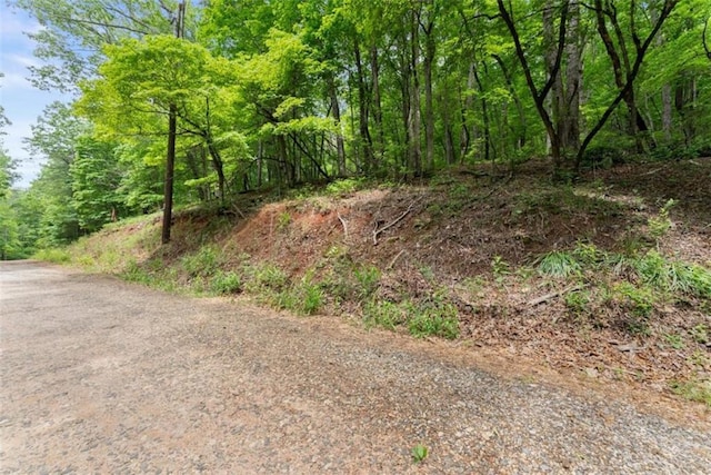 01 Long Mountain Rd, Cleveland, GA 30528