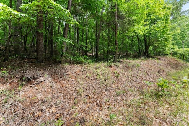 01 Long Mountain Rd, Cleveland, GA 30528