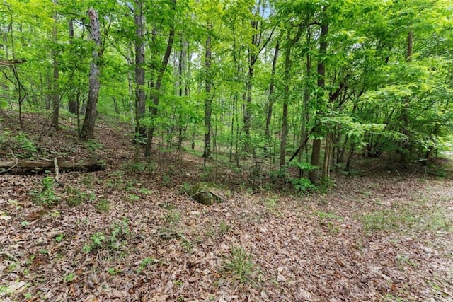 01 Long Mountain Rd, Cleveland, GA 30528