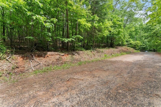 01 Long Mountain Rd, Cleveland, GA 30528