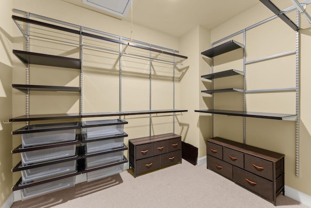 spacious closet with carpet flooring