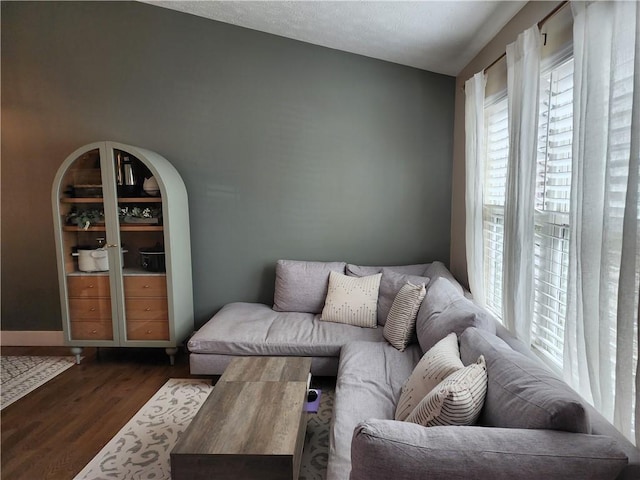 living room featuring dark wood-type flooring