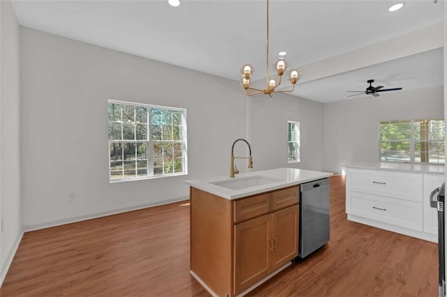 kitchen featuring a sink, a healthy amount of sunlight, and dishwasher