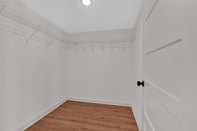 walk in closet featuring wood finished floors