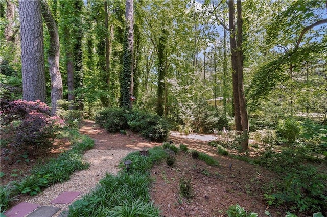 3287 Alton Rd, Atlanta, GA 30341 - view of wooded area