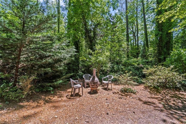 3287 Alton Rd, Atlanta, GA 30341 - view of yard