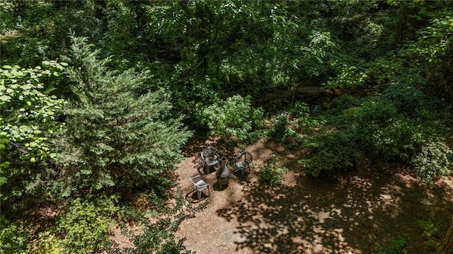 3287 Alton Rd, Atlanta, GA 30341 - view of undeveloped land