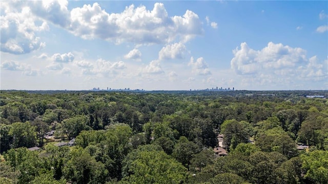 3287 Alton Rd, Atlanta, GA 30341 - drone / aerial view of a heavily wooded area