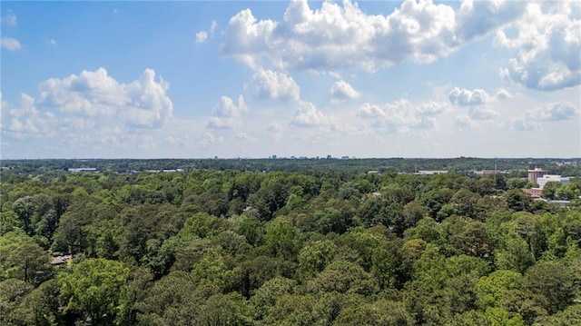 3287 Alton Rd, Atlanta, GA 30341 - aerial view of a forest
