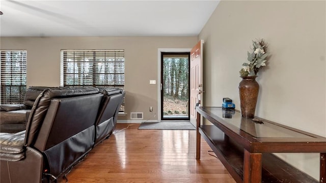 living room featuring hardwood / wood-style floors and a wealth of natural light