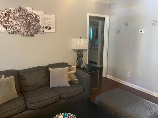 living room with dark hardwood / wood-style floors