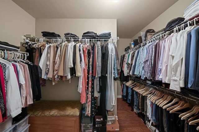 walk in closet featuring wood finished floors