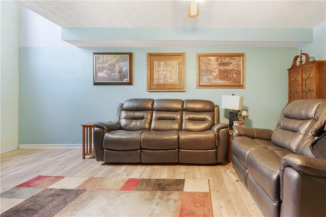 3620 Darwin Pl, Duluth, GA 30096 - living area with wood finished floors and a textured ceiling