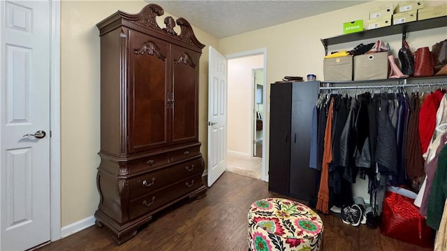 walk in closet featuring dark hardwood / wood-style flooring