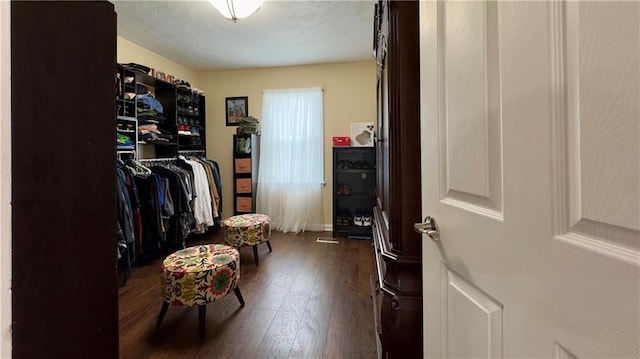 spacious closet featuring dark hardwood / wood-style floors