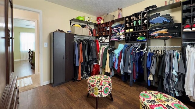 walk in closet with dark wood-type flooring