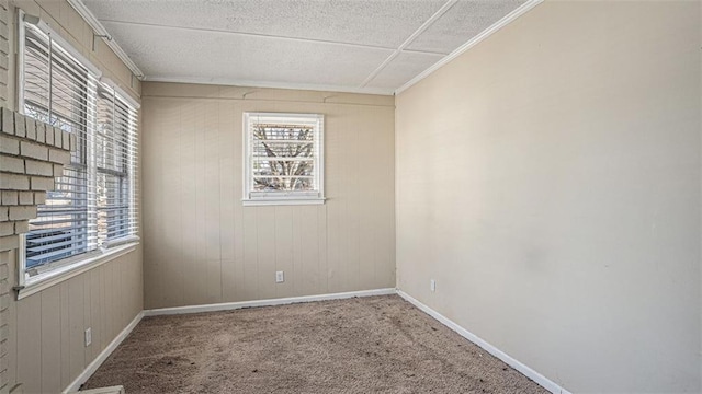 carpeted spare room with a healthy amount of sunlight, wood walls, crown molding, and a textured ceiling