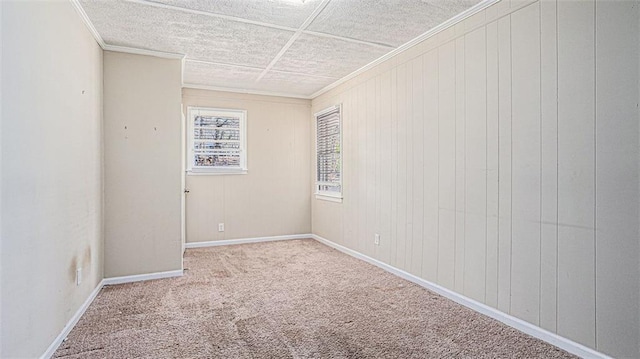 empty room with ornamental molding and carpet