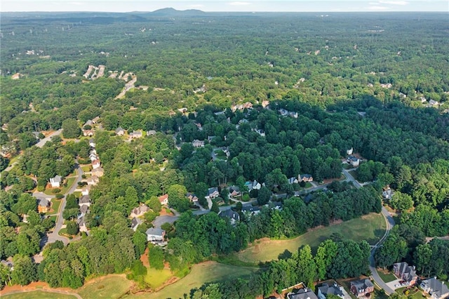 1313 Fallsbrook Ter NW, Acworth, GA 30101 - aerial view of property and surrounding area featuring a heavily wooded area