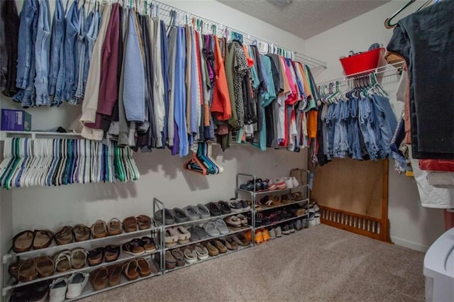 spacious closet featuring carpet flooring