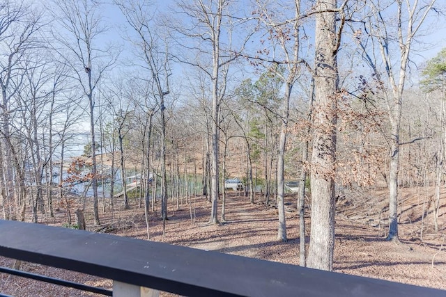 6014 Warpath Rd, Flowery Branch, GA 30542 - view of yard