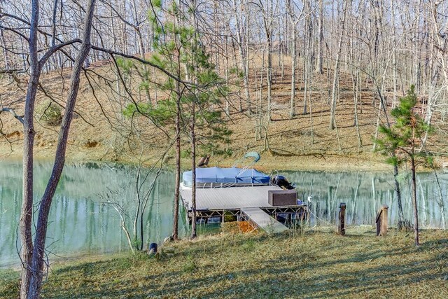 6014 Warpath Rd, Flowery Branch, GA 30542 - water view featuring a dock