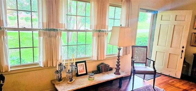 entryway featuring a wealth of natural light and hardwood / wood-style floors