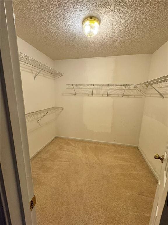 spacious closet featuring carpet