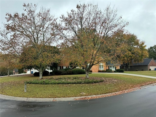 obstructed view of property with a front yard and driveway