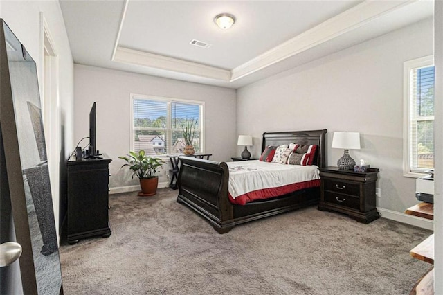 2700 Norwich Trce, Snellville, GA 30078 - bedroom with carpet flooring, multiple windows, and a raised ceiling