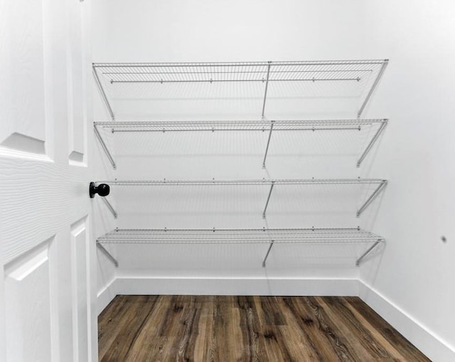 112 Radian Ct, Dallas, GA 30132 - view of pantry