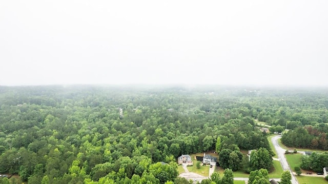 112 Radian Ct, Dallas, GA 30132 - bird's eye view of a forest