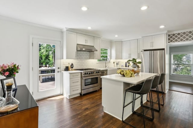 kitchen with crown molding, light countertops, under cabinet range hood, tasteful backsplash, and stainless steel appliances