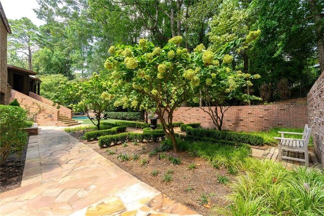 view of yard with a patio