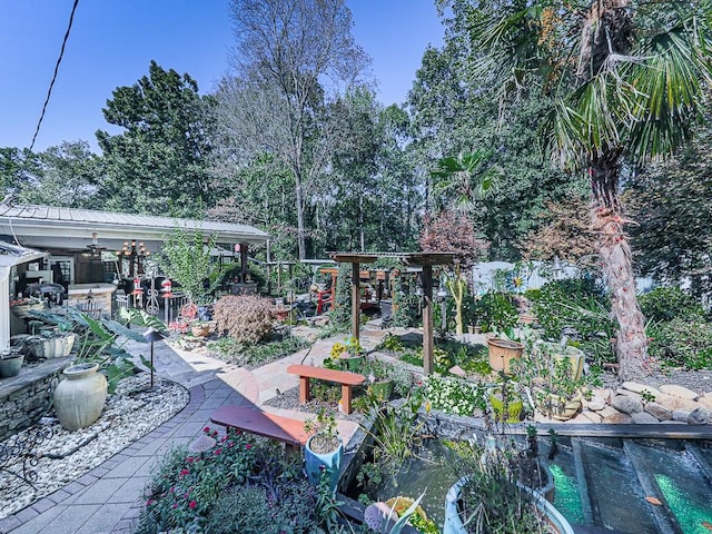 view of yard featuring a patio