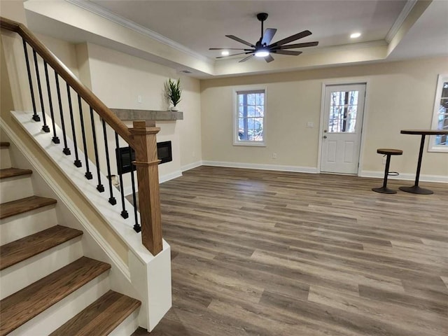 foyer entrance featuring crown molding, ceiling fan, a tray ceiling, and hardwood / wood-style floors