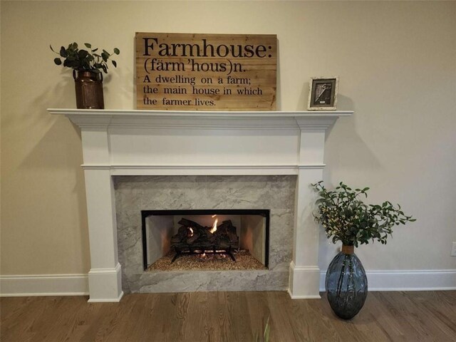 room details with hardwood / wood-style flooring and a high end fireplace